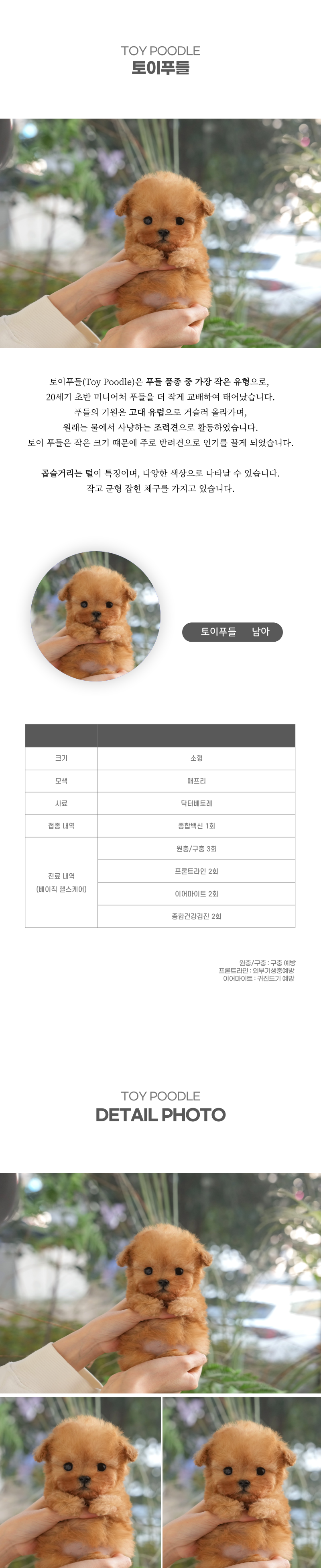 토이푸들_상세이미지_2